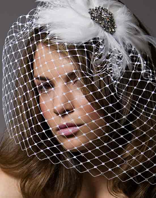 birdcage veil hairstyles. ird cage will be my veil